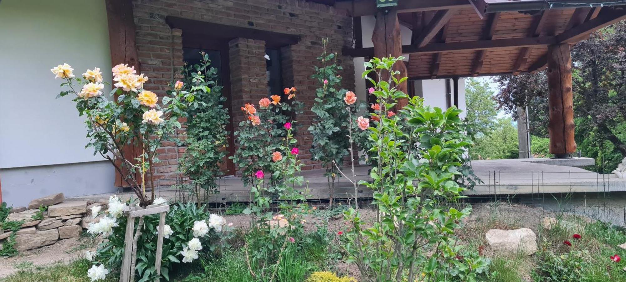 Villa Rustic Dreams-Dobolii De Sus Extérieur photo